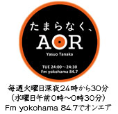 たまらなく、AOR