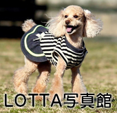”Lotta写真館"